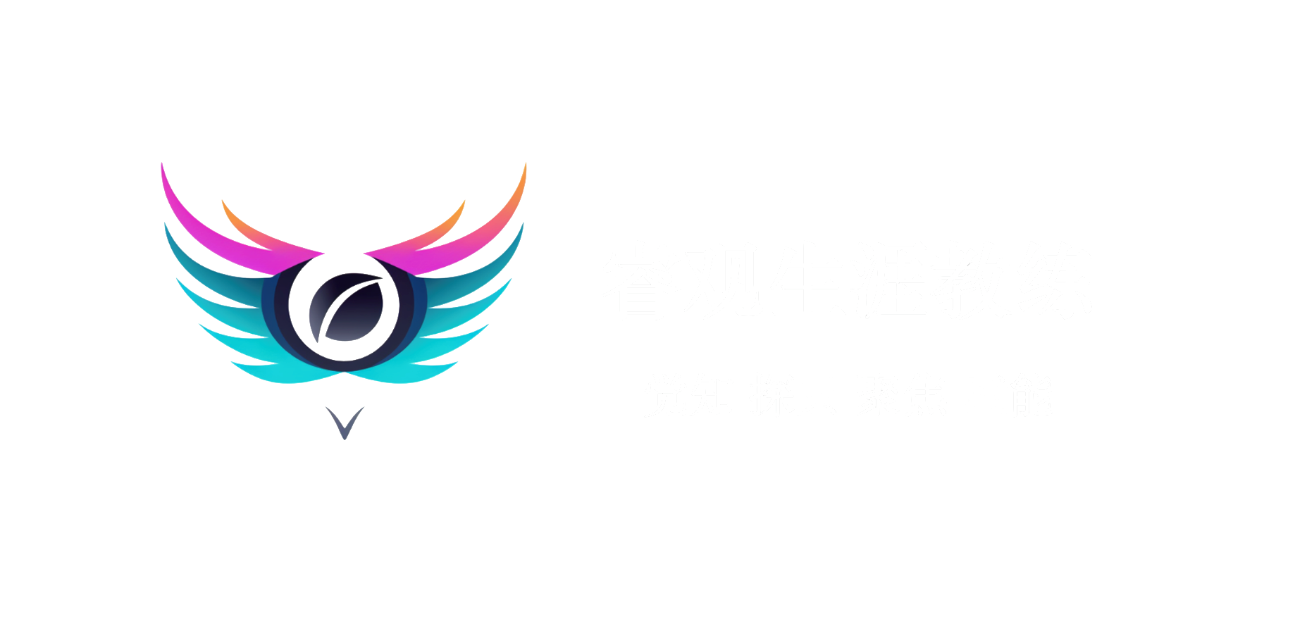 睿观生涯